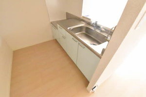 アルティメット 0202号-3