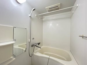 雪月花 B102号-15