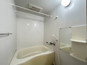 雪月花 C201号-15