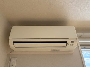 ルガル　デ　アンナ 0202号-14