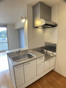 メゾンウィッシュ 0103号-7