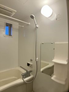 メゾンウィッシュ 0108号-7