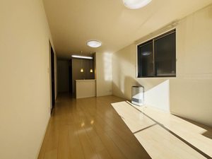 ステラ　コート 0102号-4