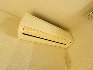 ステラ　コート 0102号-14