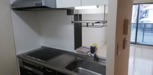 アイボリーコート 0202号-9