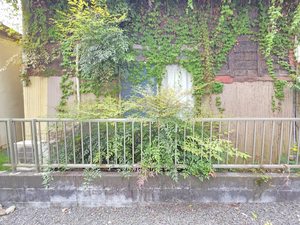 グランドソレーユⅡ B103号-13