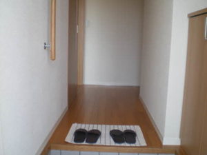 ＦＯＲＥＳＴ　ＯＧＩＮＯ 0103号-3