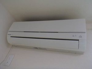 ミュアミュール 0103号-4