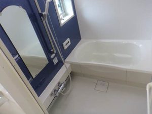 ミュアミュール 0103号-11