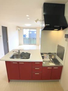 ドミール片西 0203号-4