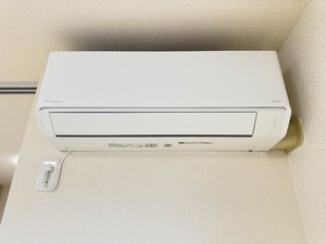 プライム 0201号-12