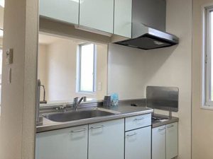 ジューンベリー A101号-6