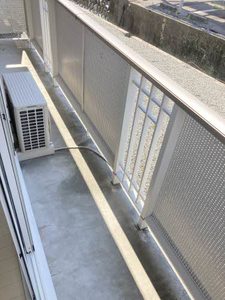 ジューンベリー A101号-12