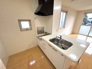 ルミエールTOKIWA 0203号-3