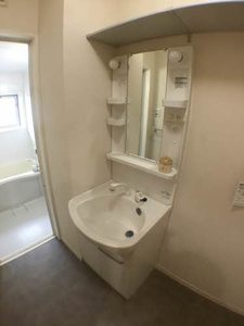 Ｌｅ　Ｐｒｕｎｉｅｒ A102号-5