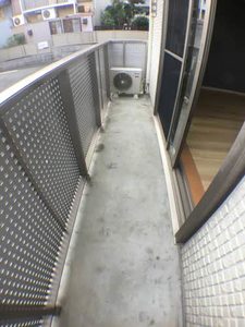 Ｌｅ　Ｐｒｕｎｉｅｒ A102号-12