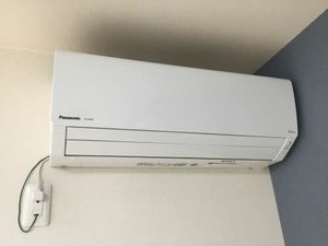 Ｌｅ　Ｐｒｕｎｉｅｒ A102号-13