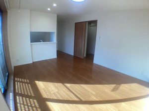 Ｌｅ　Ｐｒｕｎｉｅｒ A201号-3