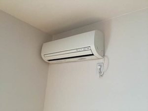 Ｌｅ　Ｐｒｕｎｉｅｒ A201号-13