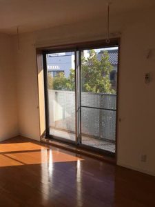 Le Prunier B202号-8