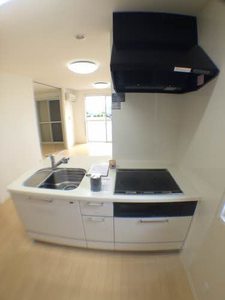 プランドール 0203号-3