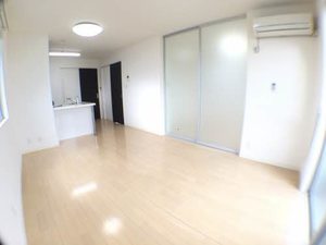 プランドール 0203号-5