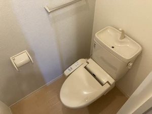 ラチェリー 0101号-9