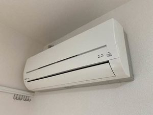 エーデルハイム 0205号-11