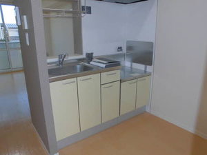 シャーメゾン高田 C203号-3