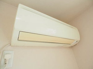 Ｃｈａｒｍａｎｔ　Ｄｏｍｉｅｉｌｅ C102号-11