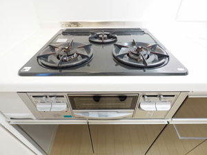 Ｃｈａｒｍａｎｔ　Ｄｏｍｉｅｉｌｅ C102号-12