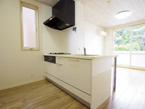 ルミエール富吉 B101号-3