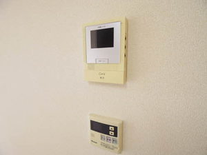 ルミエール富吉 B101号-6