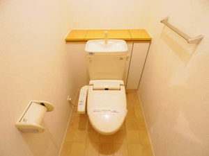 ルミエール富吉 B101号-9