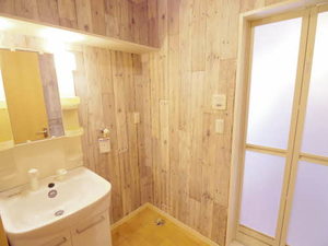 ルミエール富吉 B101号-14