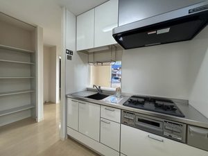 ラフィーネ C103号-3