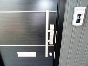 Ｄｕ　ｈｏｒｎ 0201号-3