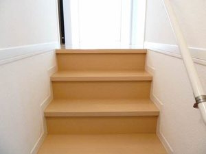 Ｄｕ　ｈｏｒｎ 0201号-9