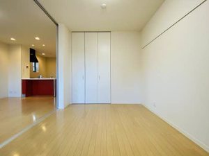 リッツハウス 0202号-6