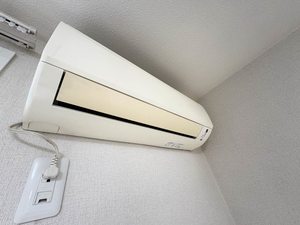 メゾンドルミエール C101号-10