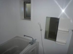 ピュアメゾン 0102号-9