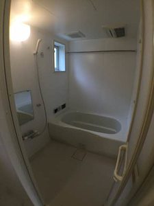 アムール3 D101号-4