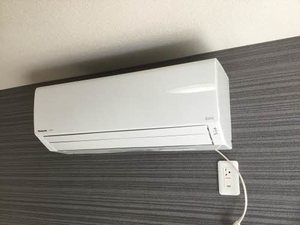 シュマン 0103号-9