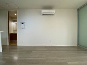 Ｓｈａｍａｉｓｏｎ　ＢｅｌＶｉｅ 0302号-4