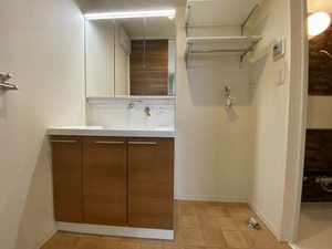 Ｓｈａｍａｉｓｏｎ　ＢｅｌＶｉｅ 0302号-8