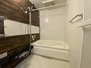 Ｓｈａｍａｉｓｏｎ　ＢｅｌＶｉｅ 0302号-9