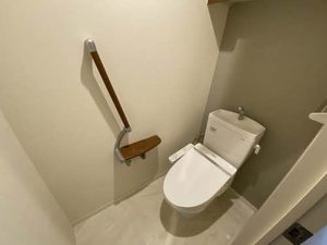 Ｓｈａｍａｉｓｏｎ　ＢｅｌＶｉｅ 0302号-10