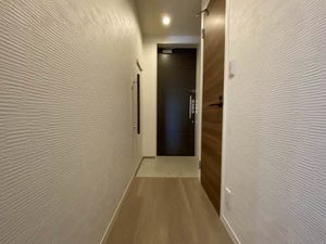 Ｓｈａｍａｉｓｏｎ　ＢｅｌＶｉｅ 0302号-11