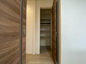 Ｓｈａｍａｉｓｏｎ　ＢｅｌＶｉｅ 0302号-13