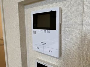 Ｓｈａｍａｉｓｏｎ　ＢｅｌＶｉｅ 0302号-14